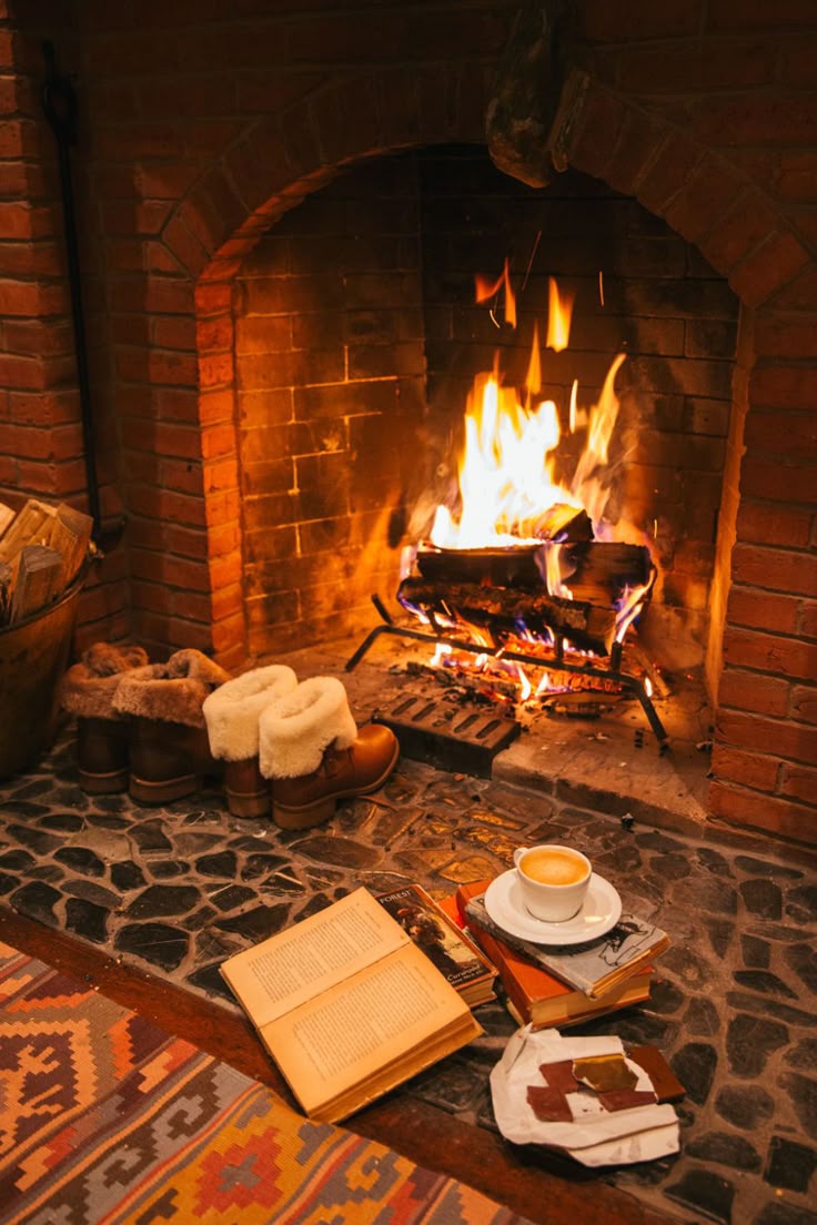 A warm open fire ready for winter