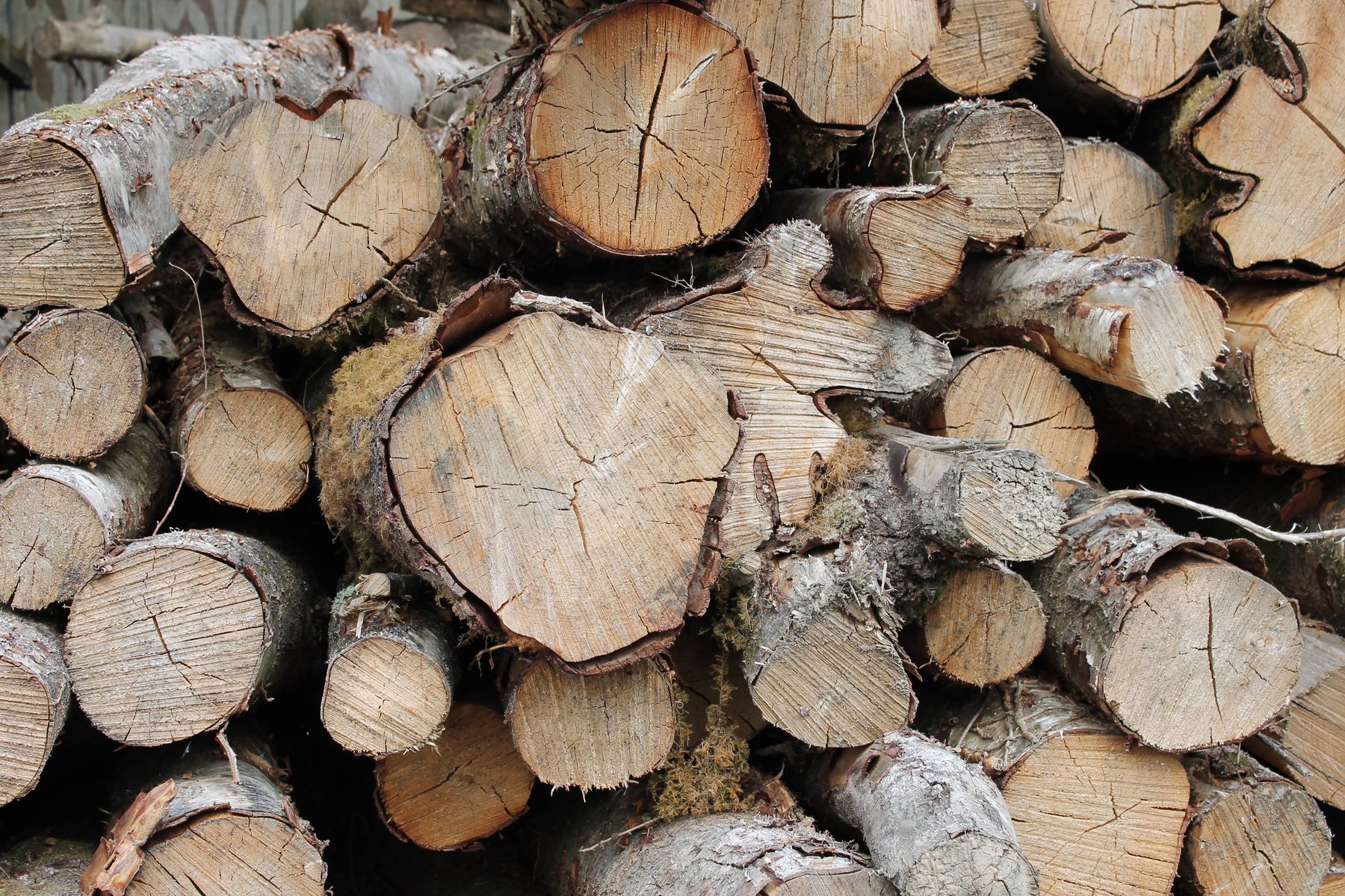 Seasoned hardwood prepared for local firewood customers